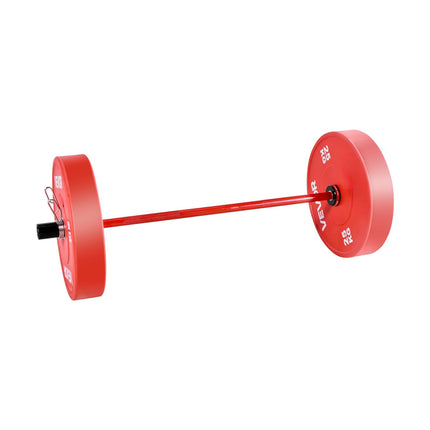 120cm Olympic Barbell, 2-Inch Sleeves, 500 lb Capacity