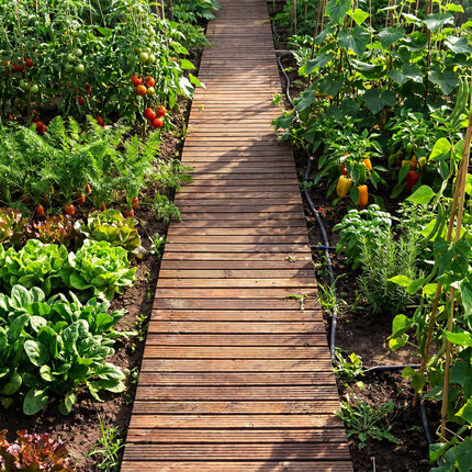 12 Ft Cedar Garden Pathway, 22" Wide, Roll-Up Design