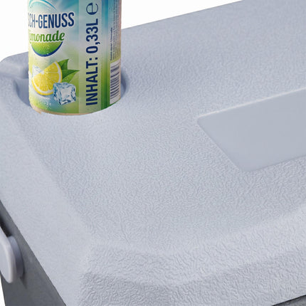 Chladicí box 15L s chladicí vložkou – bílá/šedá