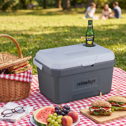 Chladicí box 15L s chladicí vložkou – bílá/šedá