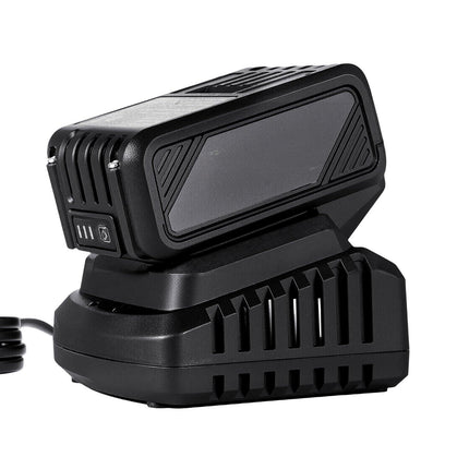 20V Battery and Charger Kit, 4.0Ah Li-Ion, 220V