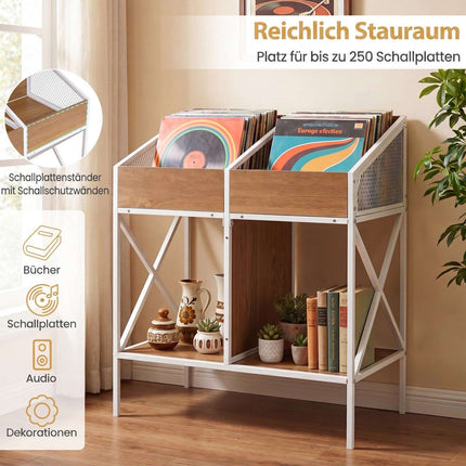 2-Tier Vinyl Record Storage Rack, Holds 250 Albums