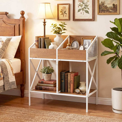 2-Tier Vinyl Record Storage Rack, Holds 250 Albums