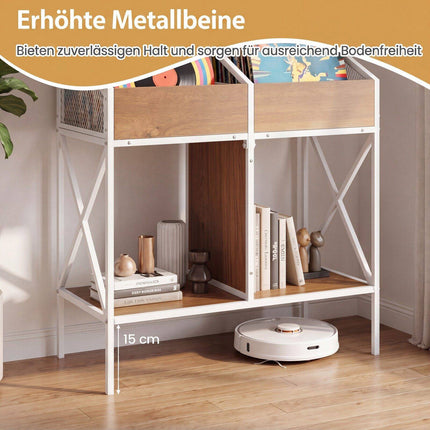 2-Tier Vinyl Record Storage Rack, Holds 250 Albums