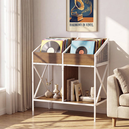 2-Tier Vinyl Record Storage Rack, Holds 250 Albums
