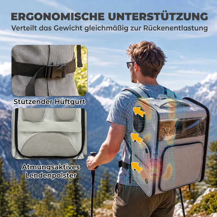 2-in-1 Pet Carrier Backpack with Wheels and Back Support, Foldable, Up to 5 kg