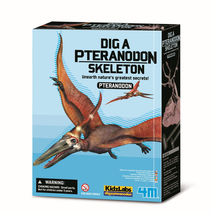 4M Bastelset "Grabe ein Pteranodon-Skelett aus"