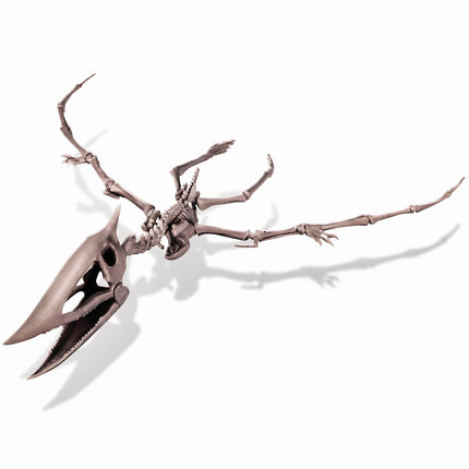 4M Bastelset "Grabe ein Pteranodon-Skelett aus"