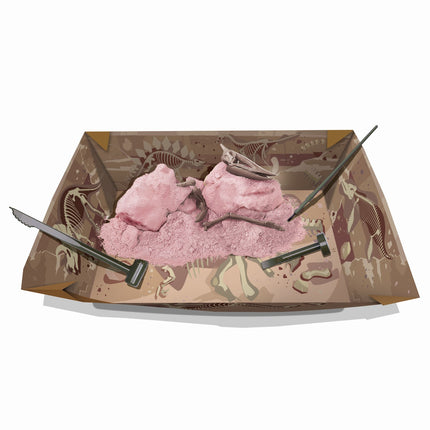 4M Bastelset "Grabe ein Pteranodon-Skelett aus"