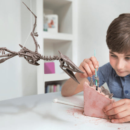 4M Bastelset "Grabe ein Pteranodon-Skelett aus"