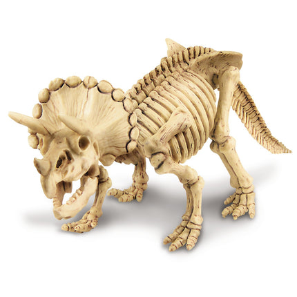 4M Bastelset Grabe einen Triceratops aus