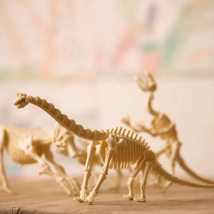 4M Kidzlabs kreativní sada "Kostra brachiosaura"