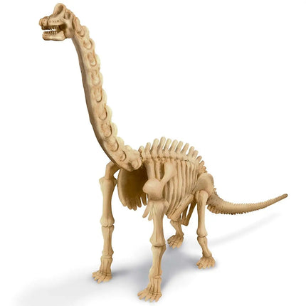 4M Kidzlabs kreativní sada "Kostra brachiosaura"