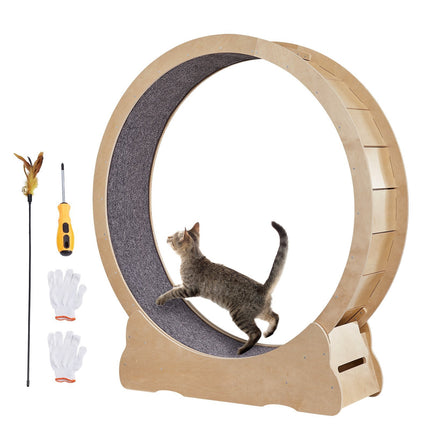 52-Inch Cat Exercise Wheel Treadmill, Quiet, Lockable