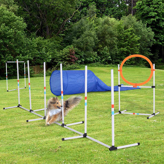 Dog Agility Set with Tunnel, Portable Training Kit