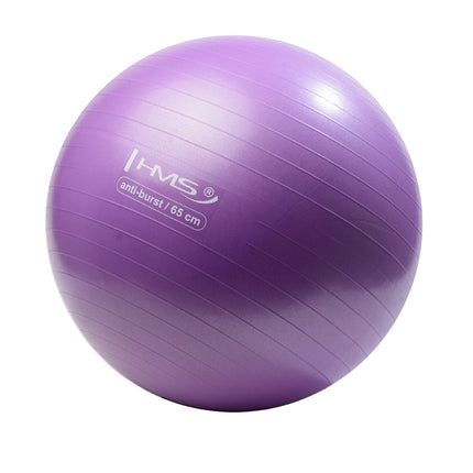 Fialový gymnastický míč 65cm – anti-burst, protiskluzový