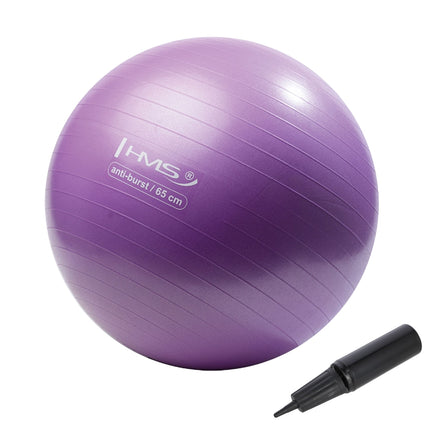 Fialový gymnastický míč 65cm – anti-burst, protiskluzový