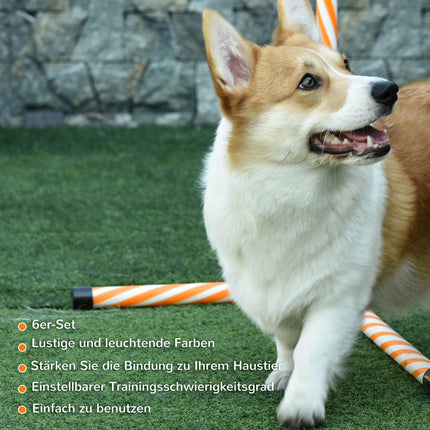 Agility tréninková sada pro psy, oranžová – tyče, píšťalka a taška
