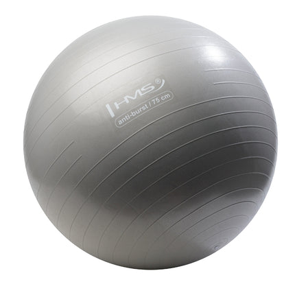 75cm Grauer Gymnastikball – platzfest, rutschfest