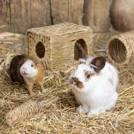 Accessory set for small animals 3 pcs.
