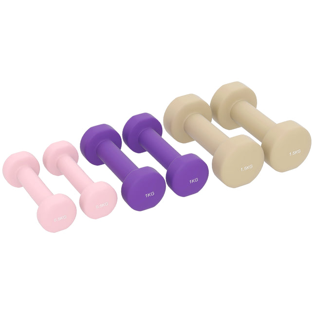 Nastavitelná sada činek s kufříkem, 6 párů: 0.5kg až 1.5kg