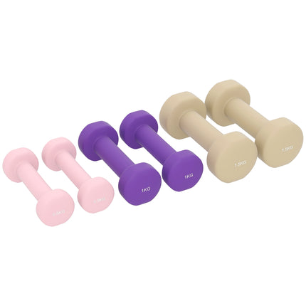 Nastavitelná sada činek s kufříkem, 6 párů: 0.5kg až 1.5kg