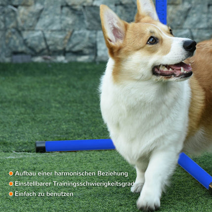 Agility tréninková sada pro psy - 4 modré plastové překážky