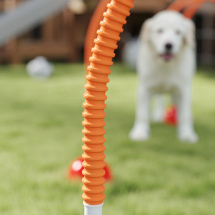 Dog Agility Set - 5-piece adjustable training kit