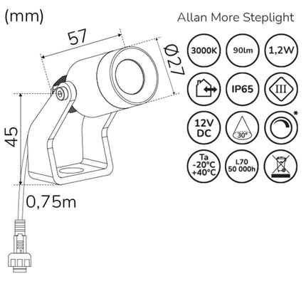 Allan More bodové svítidlo s kovovým bodcem 1 ks 12V 3000K 100lm IP67