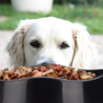 Anti Sling Bowl Dog