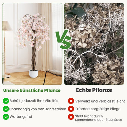 Umělá sakura v květináči, 163 cm, bílé květy