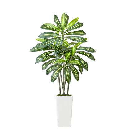 Artificial Dracaena Tree 5ft, White Tall Planter