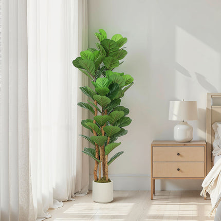 Umělý fíkus lyrovitý, 71 listů, výška 150 cm