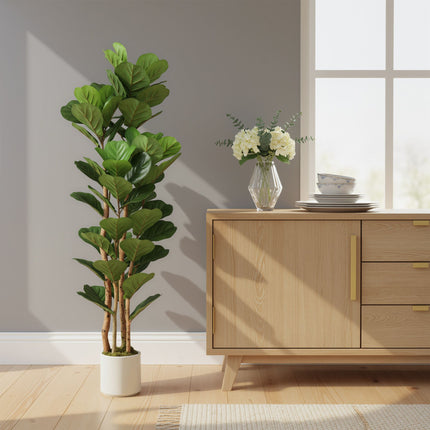 Umělý fíkus lyrovitý, 71 listů, výška 150 cm