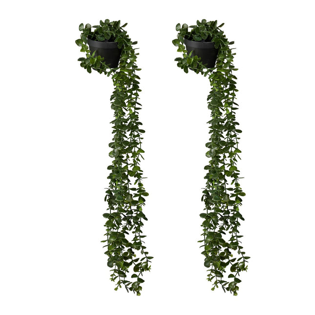 Umělý závěsný eukalyptus, sada 2 ks