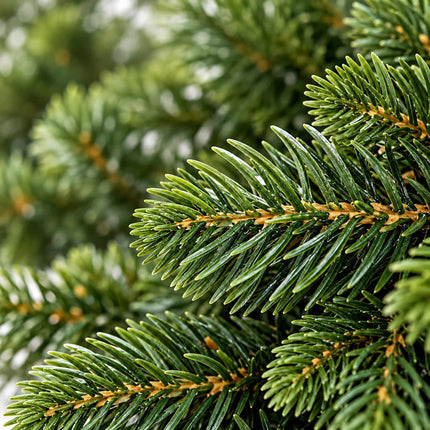 Artificial Nordmann Fir Advent Wreath, Injection-Moulded PE, Green