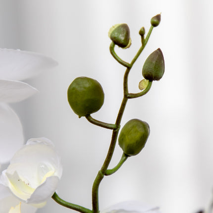 Umělá orchidej v květináči, 75cm – vnitřní dekorace, bílá