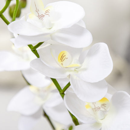 Umělá orchidej v květináči, 75cm – vnitřní dekorace, bílá
