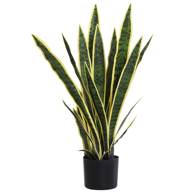 Umělá sansevieria, výška 77 cm, v květináči do obývacího pokoje