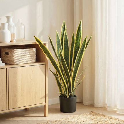 Umělá sansevieria, výška 77 cm, v květináči do obývacího pokoje