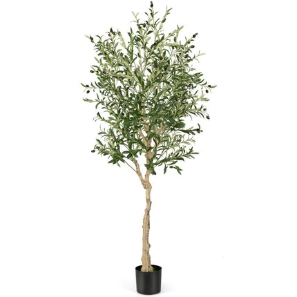 Umělý olivovník s 1296 listy a 72 plody, 182 cm