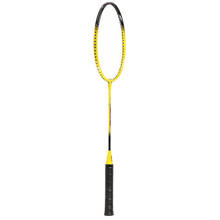 Badmintonová sada se 2 raketami, 3 košíčky, sítí a obalem