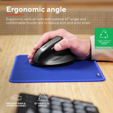 Bayo II bezdrátová ergonomická myš, černá