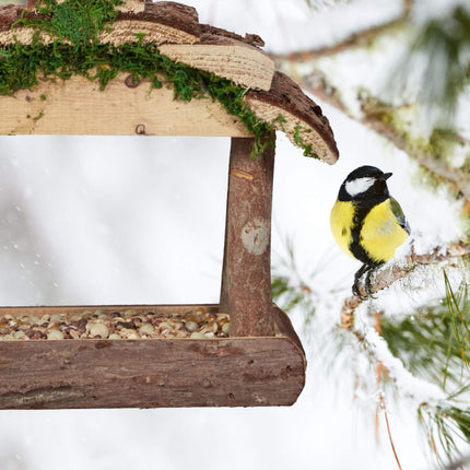 Bird feeder with suspension