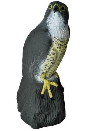 Plašič ptáků – sokol