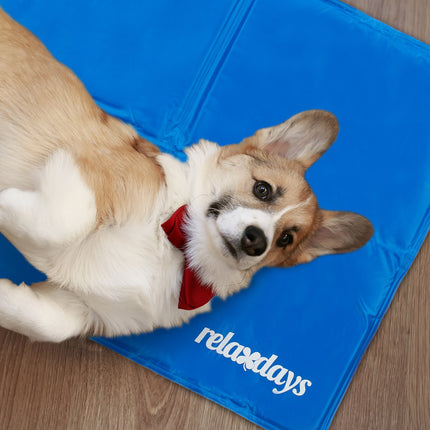 Blaue Kühlmatte für Hunde