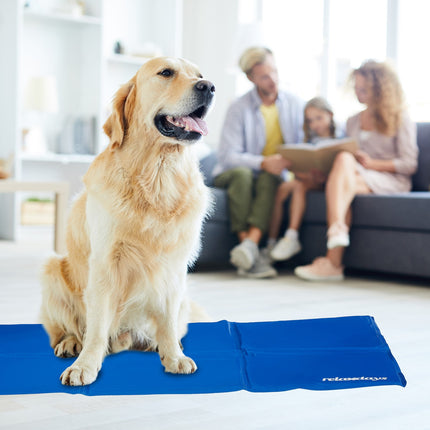 Blaue Kühlmatte für Hunde