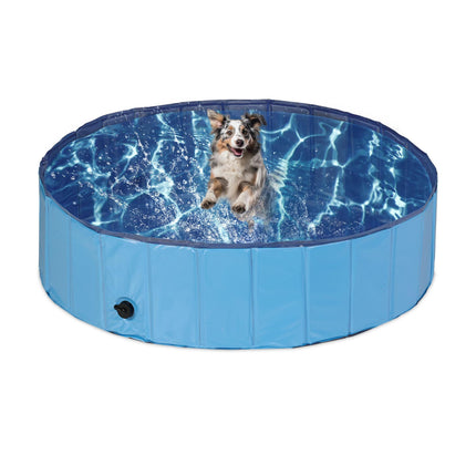 Blue dog pool