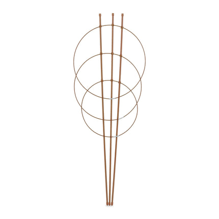 Hnědá opora pro popínavé rostliny 76 cm, sada 6 ks