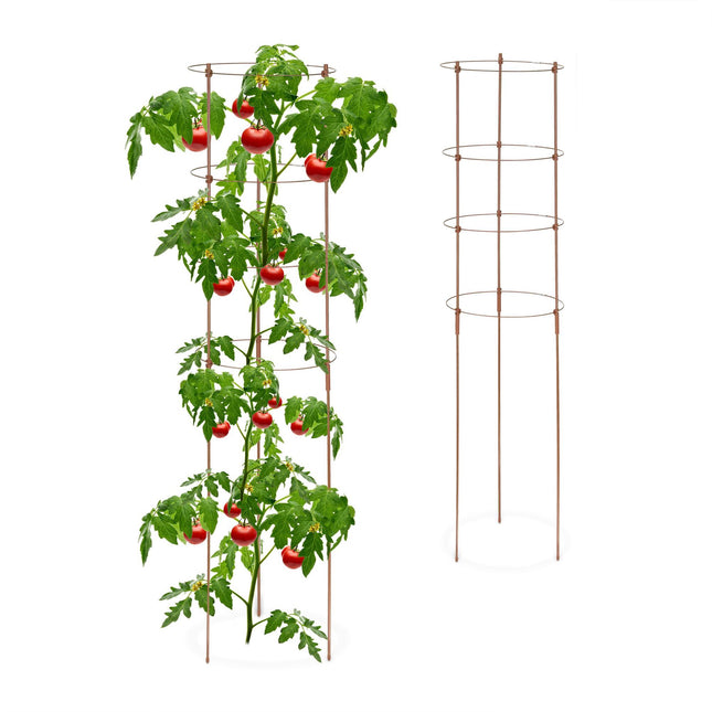 Hnědé opory rostlin s kroužky, 120 cm